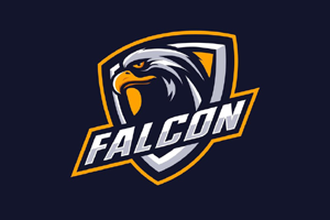 Falcon FRP Tool [ Xiaomi FRP Unlock Tool ] - Existing User